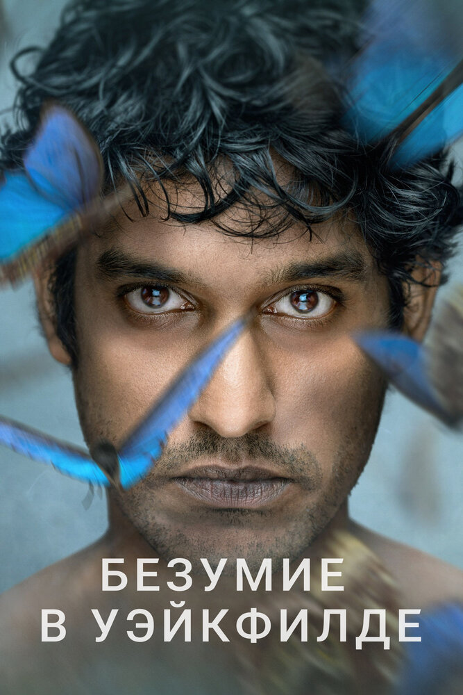 Безумие в Уэйкфилде (2021) постер