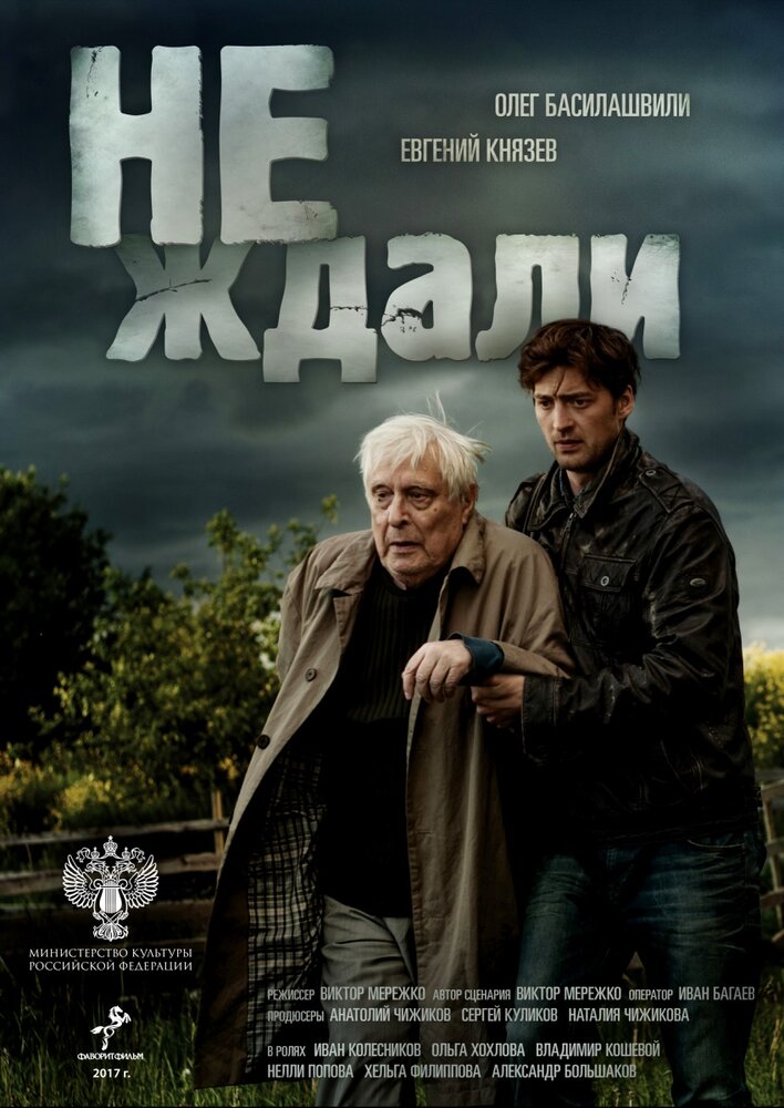 Не ждали (2018) постер