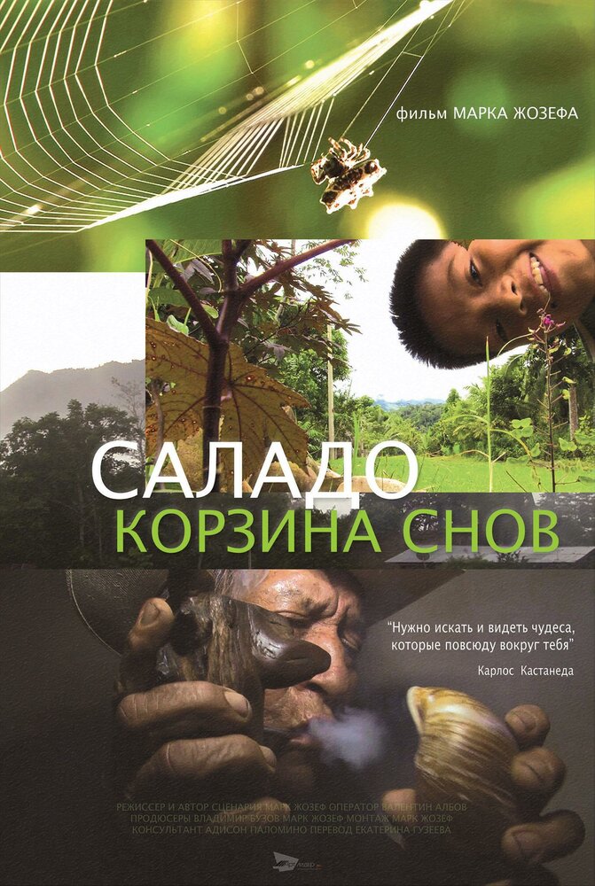 Саладо. Корзина снов (2014) постер