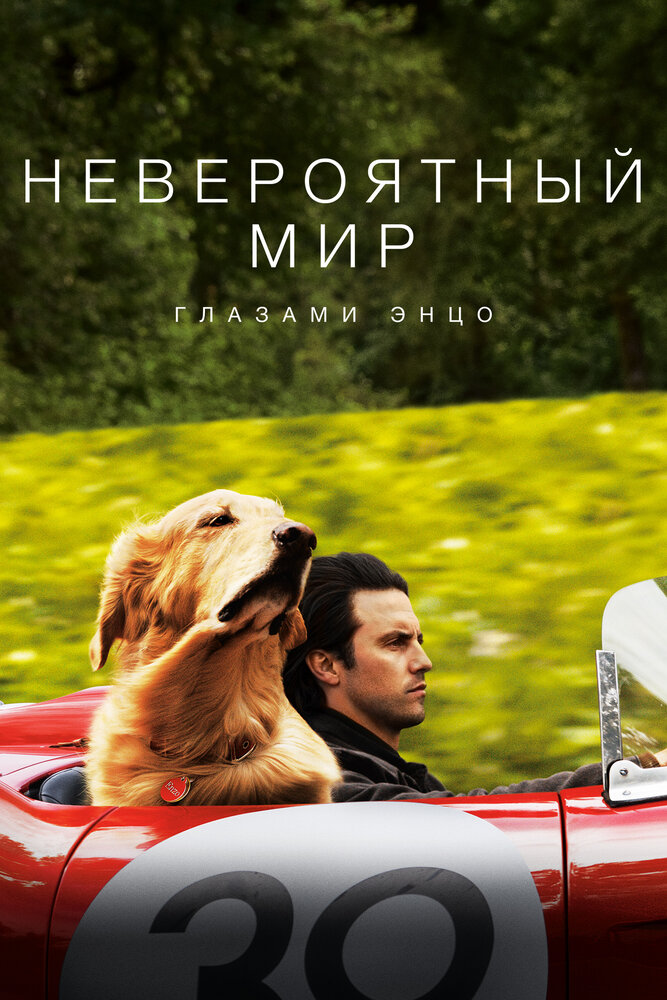 Невероятный мир глазами Энцо (2019) постер