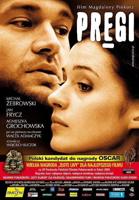 Рубцы (2004) постер