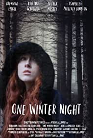 One Winter Night (2019)